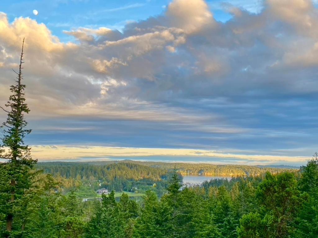 Madrona Suite Eastsound Zewnętrze zdjęcie